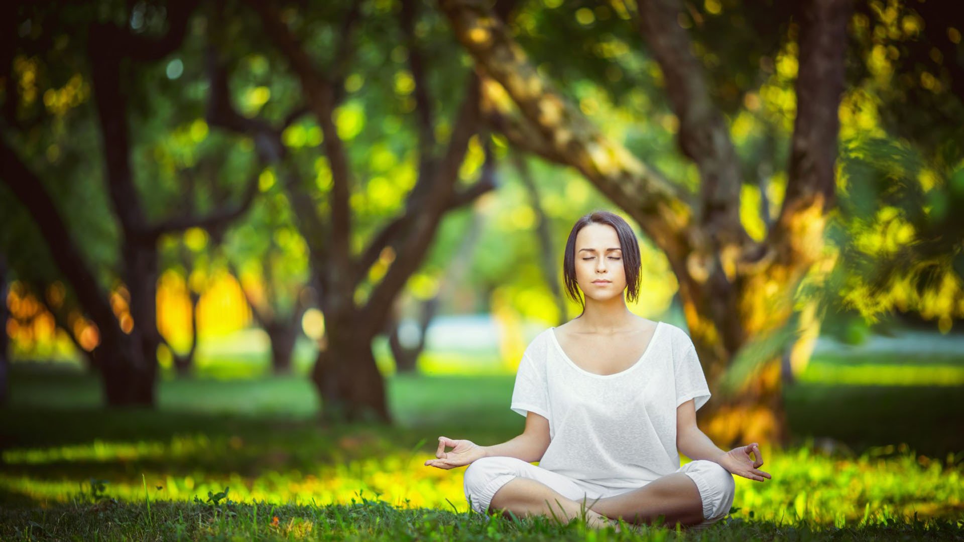职业联赛推行家庭日活动增强球迷多样化参与，举办家庭日活动的注意事项